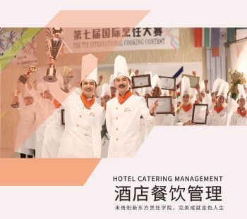 上云展网，餐饮信息咨询产品画册的全新升级之旅